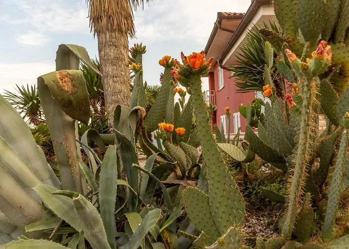 公寓 Bellavista Ii *